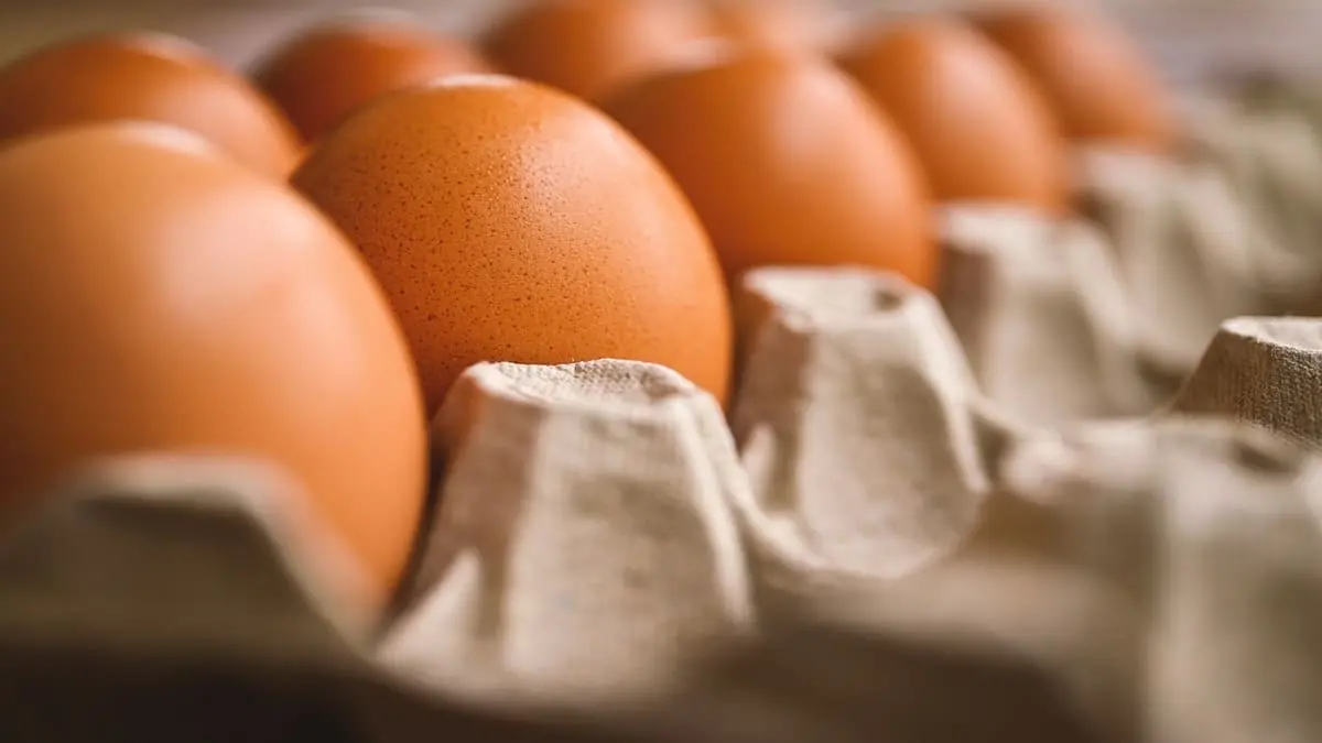 1 Butir Telur Berapa Kalori nya?